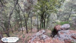 TERRENO EN VENTA EN HUASCA DE OCAMPO