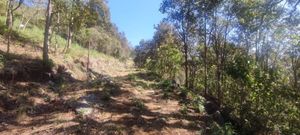 Terrenos en Venta a 2km de las Cabañas Sergia Torres