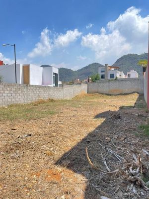 DOS LOTES DE TERRENO EN EXPLANADA DEL CARMEN