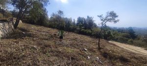 LAND FOR SALE CLOSE TO THE SERGIA TORRES CABINS