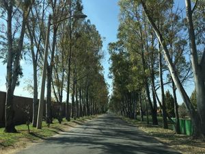 VENTA DE TERRENO EN EDÉN LOS SABINOS AGUASCALIENTES