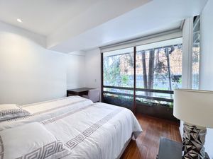 RENTA DE DEPARTAMENTO EN POLANCO CON TERRAZA  CALLE PLATON 2 REC