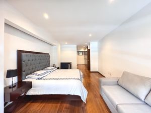 RENTA DE DEPARTAMENTO EN POLANCO CON TERRAZA  CALLE PLATON 2 REC