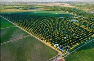 Vista aérea de huerta y sus alrededores .