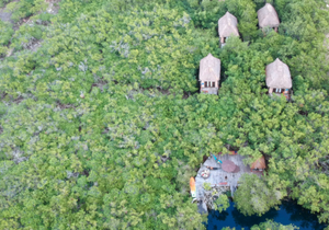 Terreno para Hotel  Ecoturistico en Tulum con  Cenote