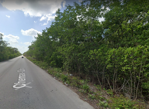 XCAN Venta terreno  sobre carretera Coba Tulum