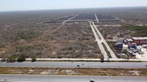 TERRENO SOBRE CARRETERA MERIDA-PROGRESO