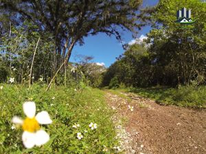 Terrenos en Venta, Fraccionamiento Residencial en Briones, Xalapa Coatepec