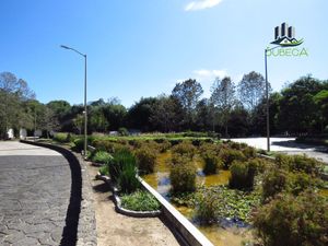 Terrenos en Venta en Fraccionamiento Paseo de La Reina, Xalapa, Alta Plusvalía