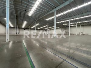 NAVE INDUSTRIAL EN RENTA DE 12,442 M2 EN EL FLORIDO, TIJUANA B.C.