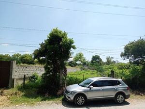 AMPLIO TERRENO PLANO UBICADO EN ALPUYECA