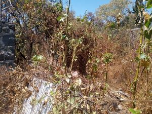 Terreno Al norte de Cuernavaca!!!