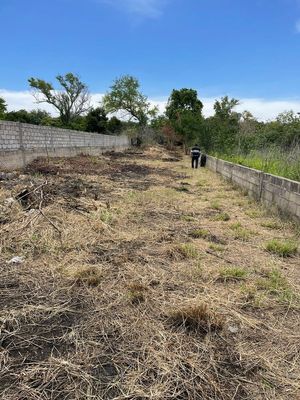 AMPLIO TERRENO PLANO UBICADO EN ALPUYECA