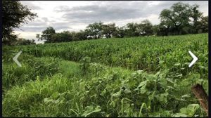 TERRENO CON CANAL DE AGUA UBICADO EN ALPUYECA