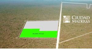 terreno para desarrollo macrolote sierra papacal yucatan 3 ha
