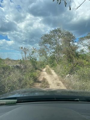 Terreno en venta de  186  hectáreas   tepakan merida yucatan
