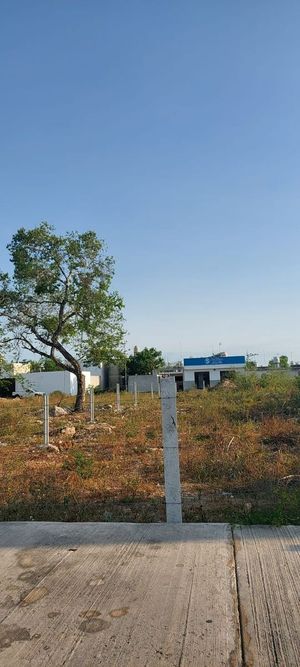 Terreno en renta en merida, caucel