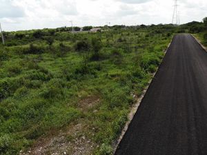 Terreno en venta en  temozón norte,  merida