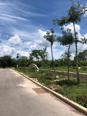 Venta terreno en conkal, merida