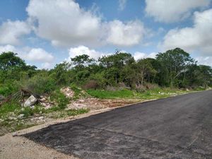 Terreno en venta en  temozón norte,  merida