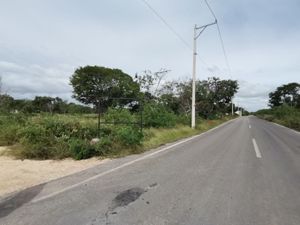 Lotes  en venta  a un costado de gran santa fe norte merida