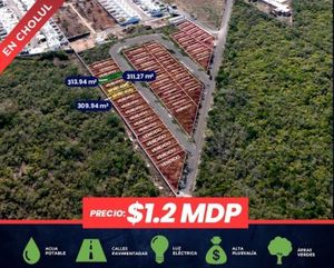 LOTES EN MERIDA, CHOLUL EN VENTA