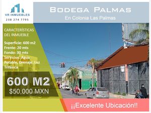 Bodega en Renta en Villas las Palmas Tehuacán