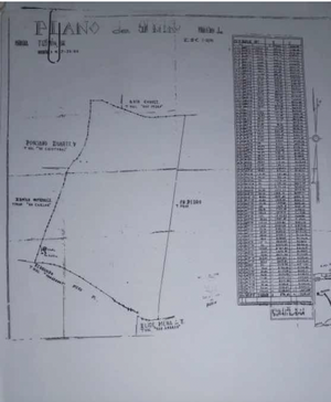 Amplio Rancho en venta en Dzilam de gonzalez, todos los servicios.