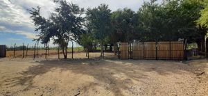 Terreno Campestre en Venta (Los Mochis, Sin.)