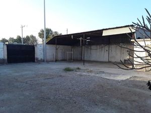 Terreno en Venta en Nuevo Torreon Torreón