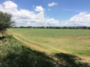 Venta de terreno bien ubicado para desarrollar