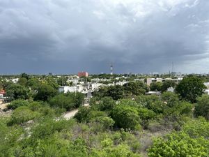 Vista desde el rooftop