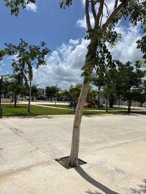 Casa en Conkal, Mérida