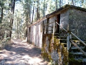 Terreno con cabaña en VENTA, Pueblo Nuevo, Mineral del Monte, Hidalgo