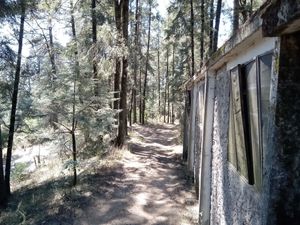 Terreno con cabaña en VENTA, Pueblo Nuevo, Mineral del Monte, Hidalgo