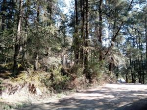 Terreno con cabaña en VENTA, Pueblo Nuevo, Mineral del Monte, Hidalgo