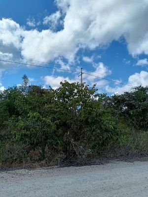 TERRENO COMERCIAL EN ZONA DE DESAROLLOS RESIDENCIALES MERIDA