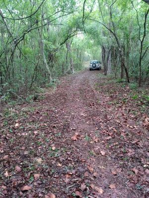 Terreno Venta 175 HECTAREAS ZONA  CHICHEN ITZÁ