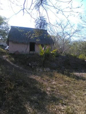 Terreno Venta 175 HECTAREAS ZONA  CHICHEN ITZÁ