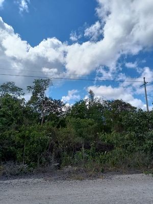 TERRENO COMERCIAL EN ZONA DE DESAROLLOS RESIDENCIALES MERIDA