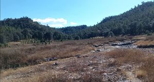 Terrenos en venta Bosques campestre Santa Barbara