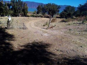 LAGO DE CHAPALA