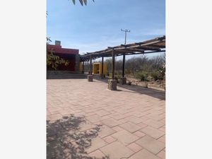 Terreno en Venta en La Rosa General Cepeda