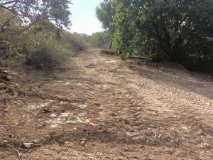 Terreno en Venta en Lomas de Lourdes Saltillo