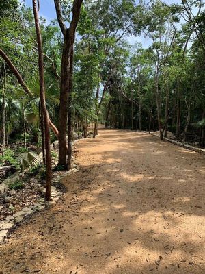 TERRNOS EN VENTA EN TULUM REGIÓN 12