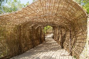 Terreno en venta en Coba, Tulum.