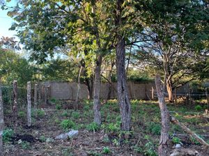 SE VENDE TERRENO EN FRACC LANTANAS EN BERRIOZABAL