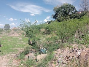 venta de terreno en Yahualica