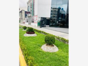 Edificio en Renta en Zona Plateada Pachuca de Soto