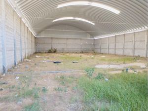 Bodega en Renta en El Tezontle Pachuca de Soto